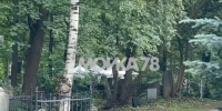 В Петербурге начались похороны экс-министра транспорта Старовойта